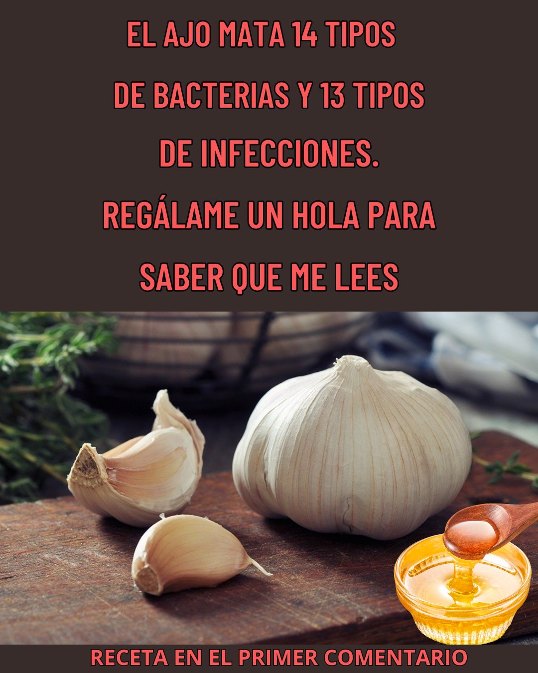 603768707 122141348708973955 8850434448411229001 n