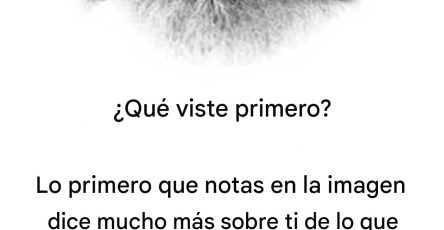 615850191 122117292639082615 1566231897524150713 n 1