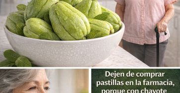 628029414 122144249342971843 7579231260774922519 n