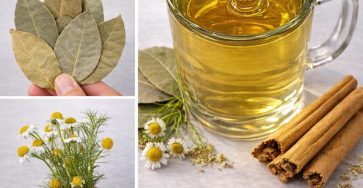 635181622 1475887077431330 7683262548151575974 n