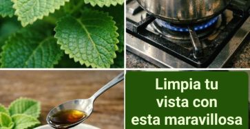 642166663 1484228336597204 7522548307251054536 n