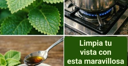 642166663 1484228336597204 7522548307251054536 n