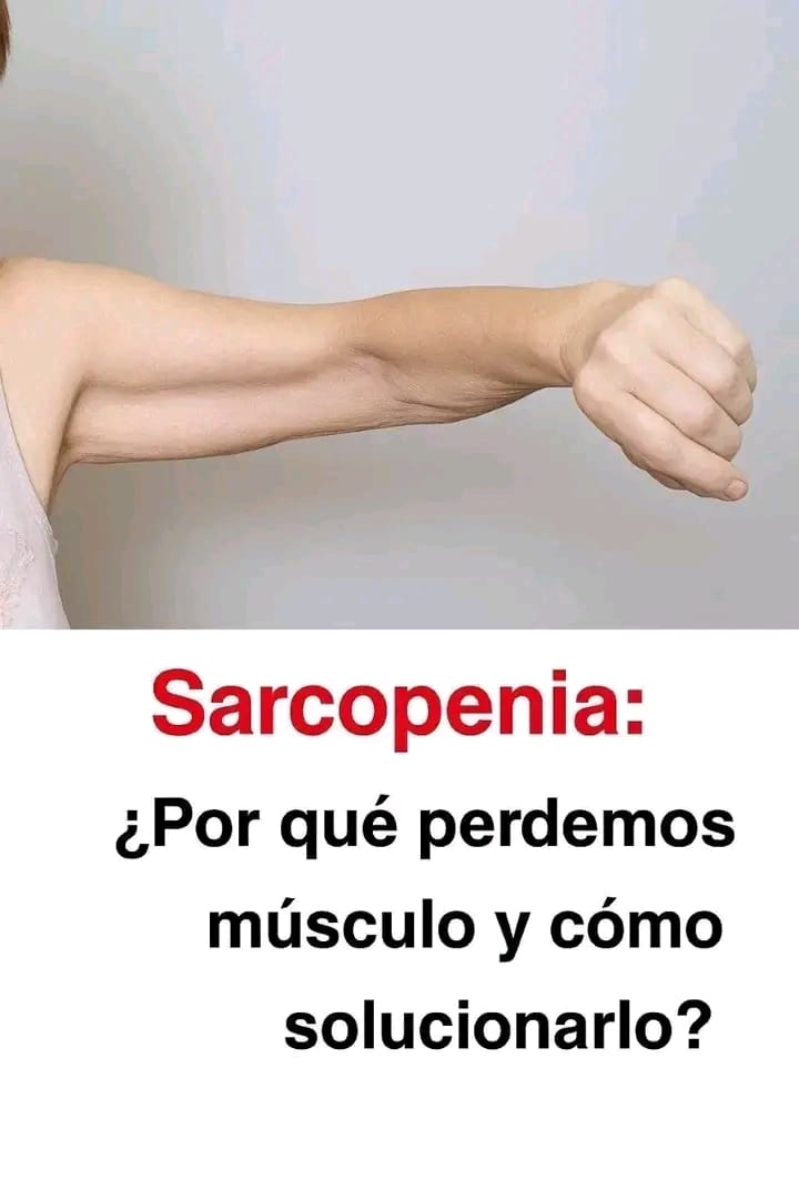 Afb529c5 77a3 469f 94e2 47ecac854ea2