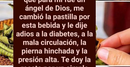 B853414f 725f 47cd b9b3 8c35d15ea0b6