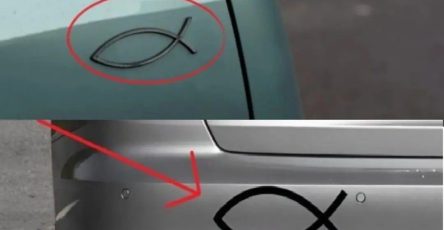 639400864 1324951786340099 4227268020715777789 n